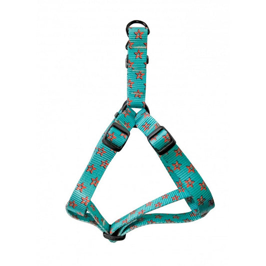 Arnes Amer. Red Star 3 35-50 x 2cm_480.jpg