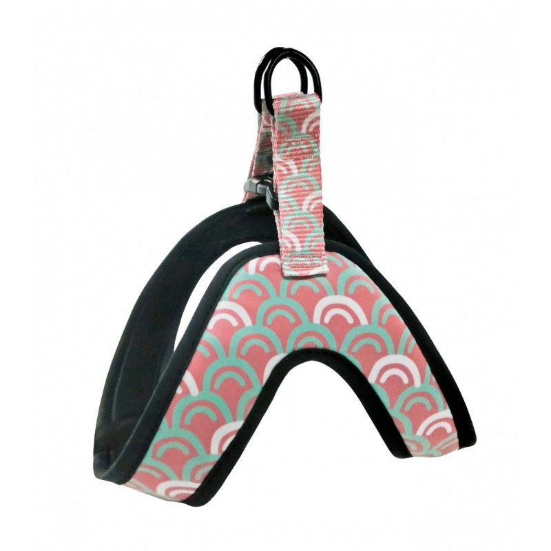 Arnes Sport HQ Circle 29cm_436.jpg