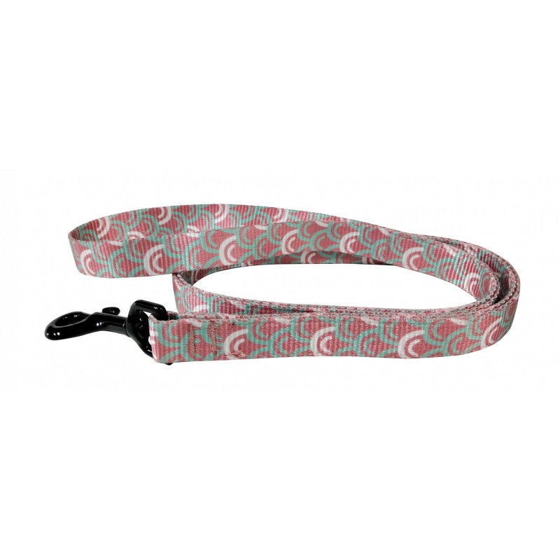 Correa Circle 4 80 x 2,5cm_446.jpg