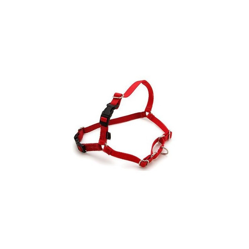 Easy Walk arnes extra grande Rojo_1202.jpg