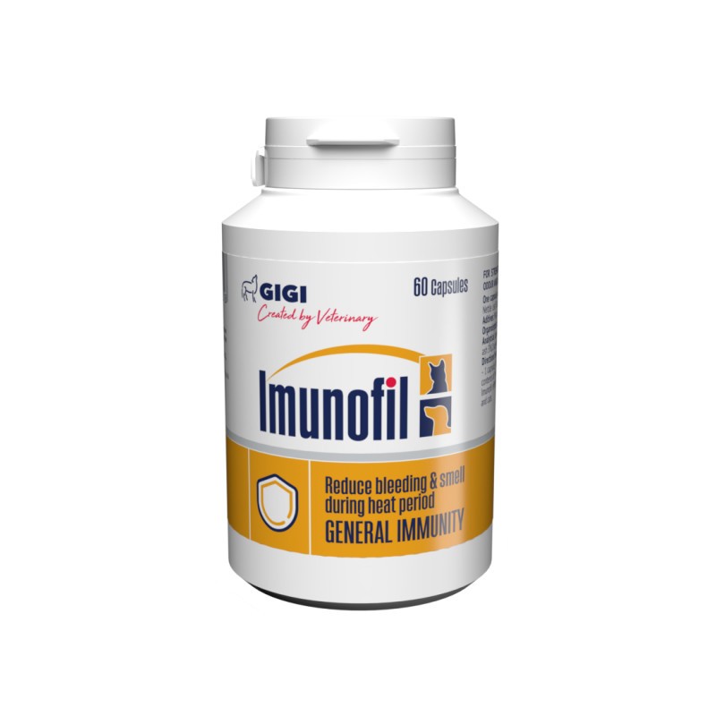 Gigi Supl.Imunofil 60 Cap._1873.jpg