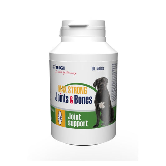 Gigi Supl. Max Strong Joints & Bones 90 Tab._1858.jpg