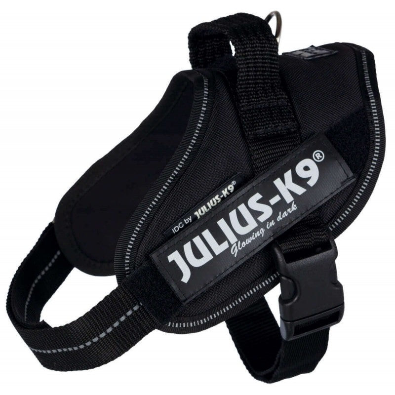 Julius Arnés IDC 2 Negro_1106.jpg