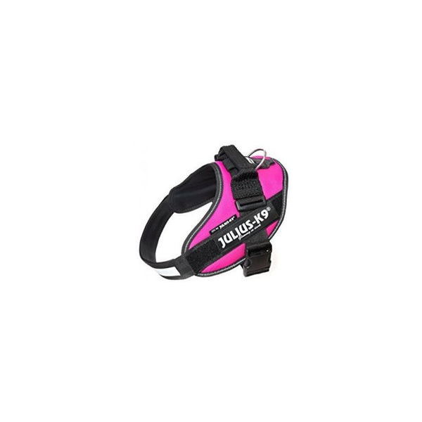 Julius Arnés IDC Mini Fucsia_1096.jpg