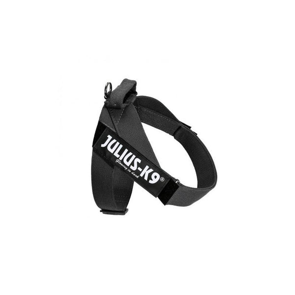 Julius arnes cinta IDC Mini-Mini negro_1099.jpg