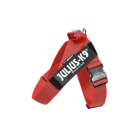 Julius arnes cinta IDC Mini-Mini rojo_1100.jpg