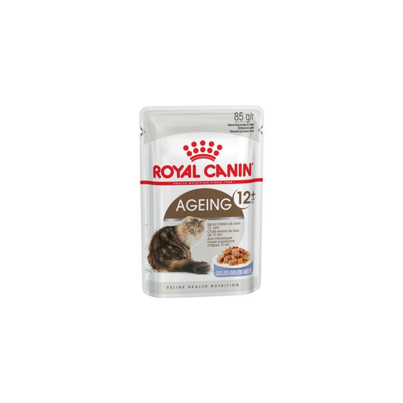 Royal Canin feline Ageing +12 Jelly 12x85 gr_533.jpg