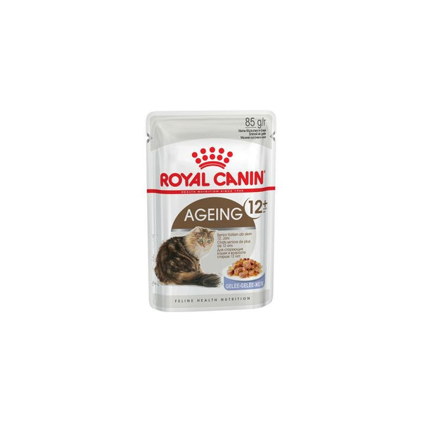 Royal Canin feline Ageing +12 Jelly 12x85 gr_533.jpg