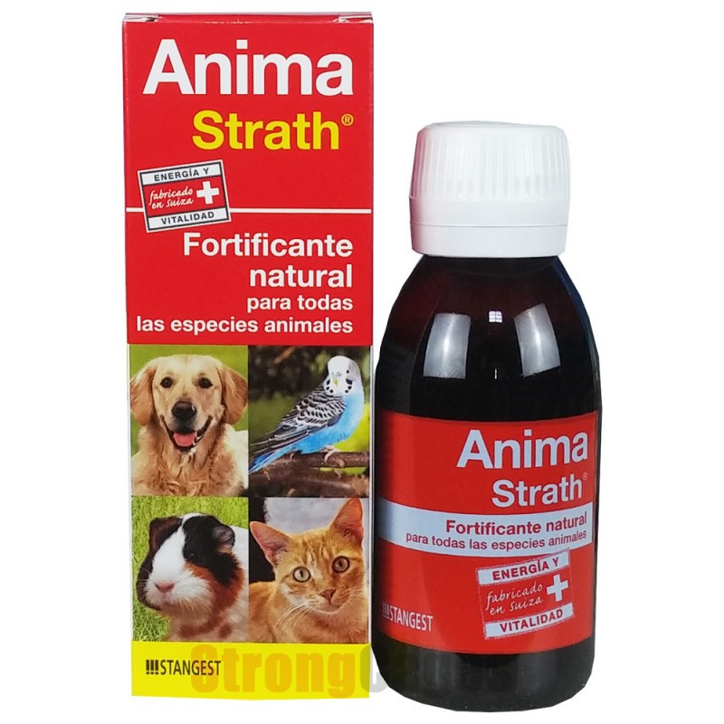 Stangest Anima Strath 100 Ml_1678.jpg