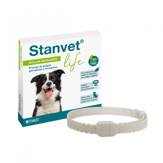 Stangest Collar Stanvet Life Perro_1691.jpg