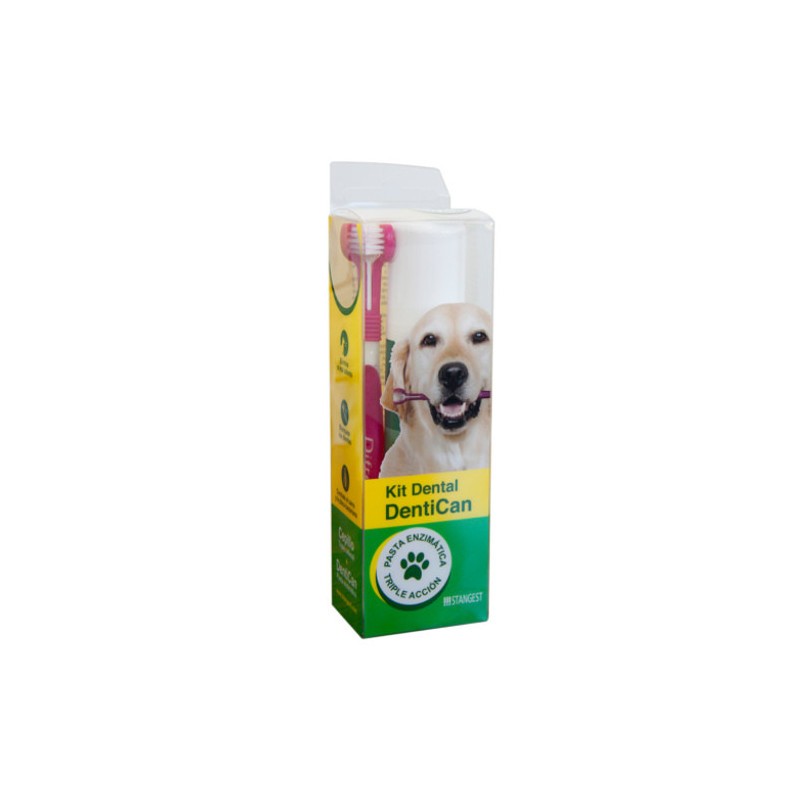 Stangest Kit Dental Cepillo + Pasta_1676.jpg